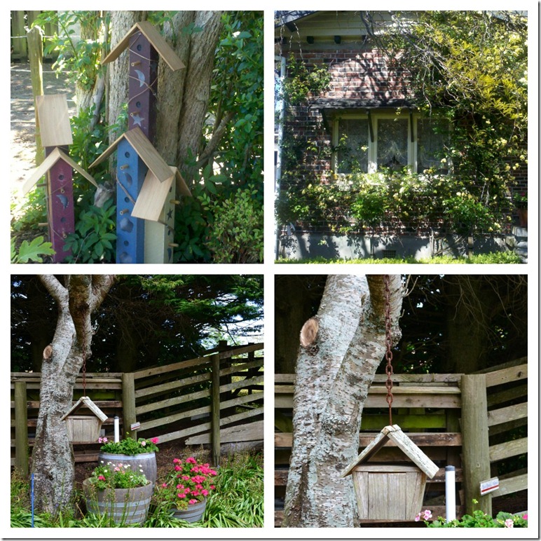 PicMonkey Collage7