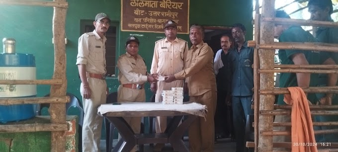 नर्मदापुरम सतपुड़ा टाइगर रिजर्व की क्षेत्र संचालक महोदय जी की एक अनूठी पहल दीपावली पर अपने कर्मचारियों को त्योहार मनाने के लिए मिठाई भेंट की।