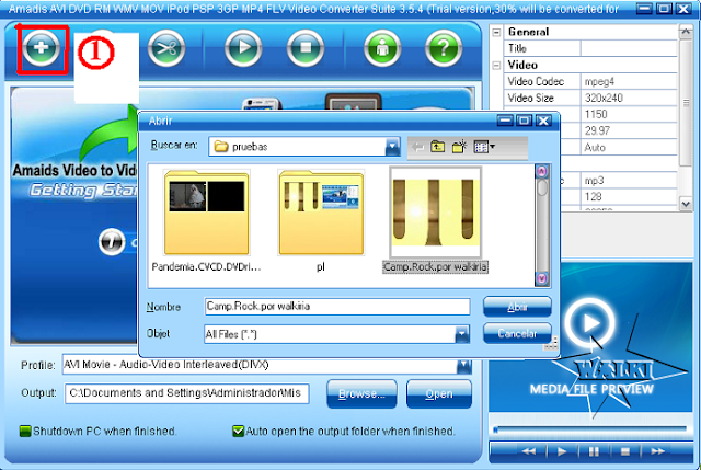 Manual Amadis Video Converter