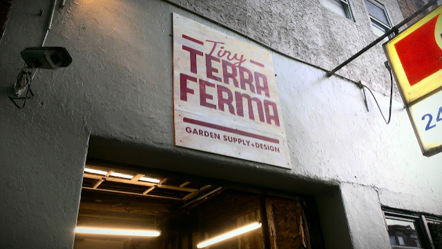 Tiny Terra Ferma Manayunk