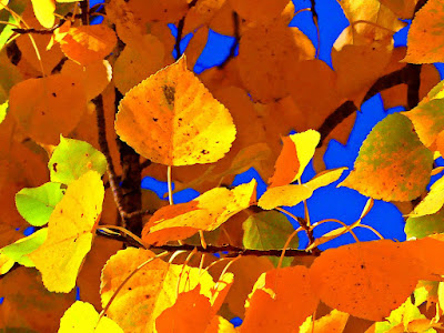 Golener Oktober