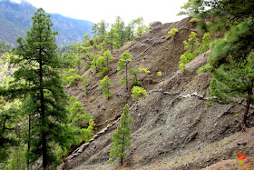 Itinerari circular a la Caldera de Taburiente