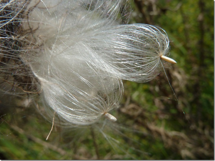 P1140739