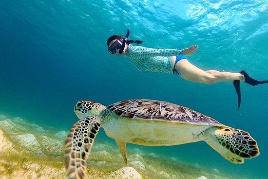 Wisata Gili Kedis Surga Kecil di Pulau Lombok