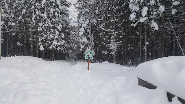 Sentier pour les Chutes-à-Bull