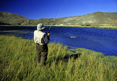 Arroyo pescado