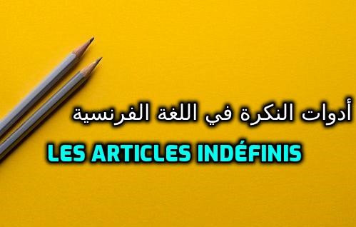 تعرف على أدوات النكرة في اللغة الفرنسية وكيفية إستعمالها - Les articles indéfinis