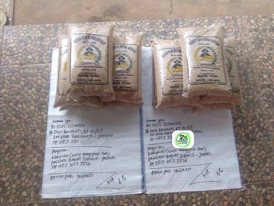 2-Benih padi yang dibeli    EUIS SUTARSIH Sukoharjo, Jateng   (Sebelum packing karung ).