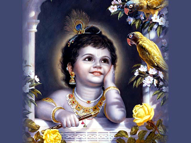 Lord Krishna Still,Photo,Image,Wallpaper,Picture