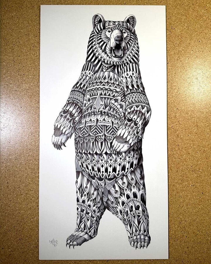 11-Grizzly-Bear-Animal-Drawings-Ben-Kwok-www-designstack-co