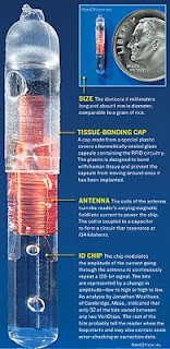 RFID Chips Can Catch Computer Virus