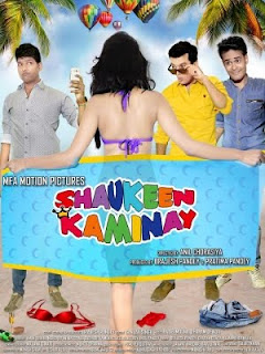 Shaukeen Kaminay (2016) Hindi Movie MP3 Songs Download