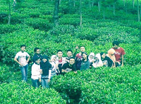 D3 VEDC on the Road >> Goes to Wonosari's Tea Park