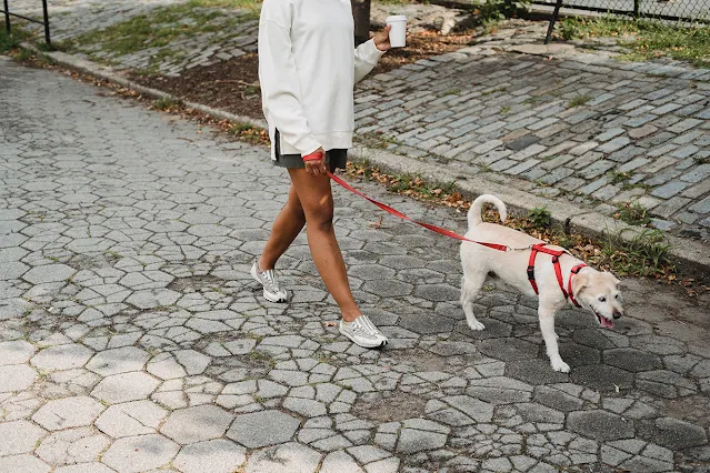 Girl walking with dog on pavement