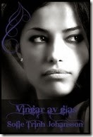 vingar-av-glas