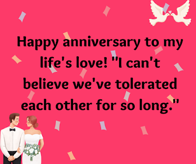 Funny Anniversary Quotes  For Husband