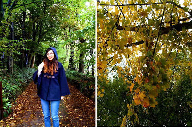 #sky #rain #nature #landscape #autumn #fall foglie, leaves, october, ottobre, george eliot, autunno, ragazza, girl, cape, vestito, cappa, zara, wedges, zeppe, love, ragazzo, boy, boy and girl, romantic, cute, pioggia, bruxelles, belgio, belgique