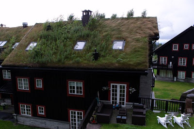 Roofs in Norway Seen On www.coolpicturegallery.us