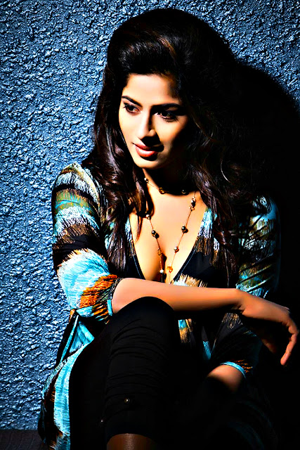 South Indian Actress Meenal Hot Photoshoot