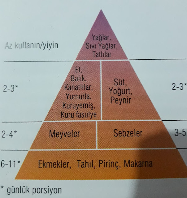 Batı Beslenme Pramidi/Günlük Batı Diyeti