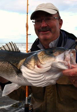 Bass fishing Ireland