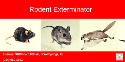 Rodent Exterminator