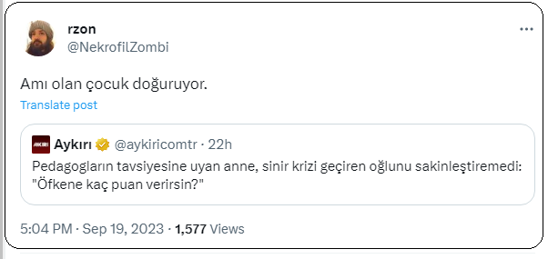 Resim