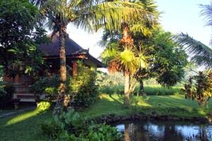 Swan Inn ubud Bali