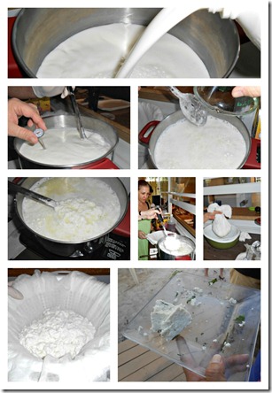 paneer collage paneer collage