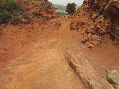 ALBERGUE DE BOLICO (LAS PORTELAS) - CASAS DE LA CUMBRE - LOS BAILADEROS (TENO ALTO) - EL PALMAR - LAS PORTELAS - ALBERGUE DE BOLICO,