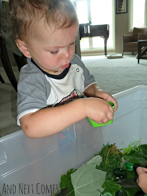 K checking out the green sensory bin from And Next Comes L