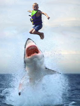 Jump The Shark