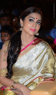 Actress Shriya Saran New Images in Silk Saree at Gautamiputra Satakarni Audio Launch  0019.jpg