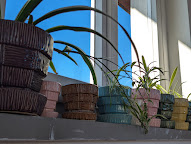 McCoy Basket Weave Flower Pots and Chlorphytum comosum