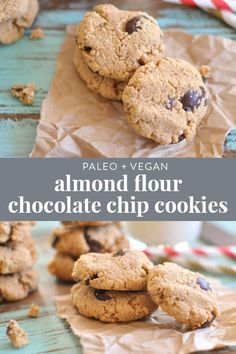 These little almond flour Paleo chocolate chip cookies are perfect for when you want a little bite of something sweet without overdoing it. I give you fair warning though - once you starting eating them its hard to eat just one! Grain free and vegan. #paleo #cookies #dessert #healthy #grainfree #glutenfree #vegan #healthy #chocolate