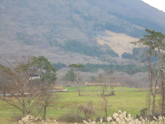 大山まきばみるくの里