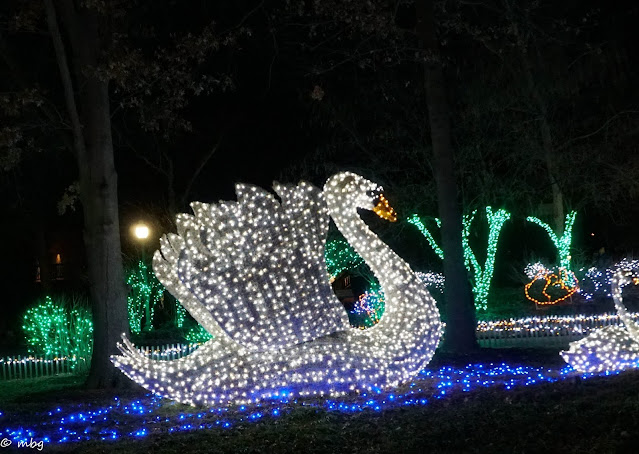 St. Louis Zoo Lights Swan photo by mbgphoto