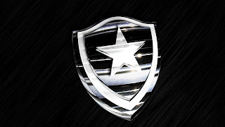 Papel-de-Parede-do-botafogo-wallpaper + (24)