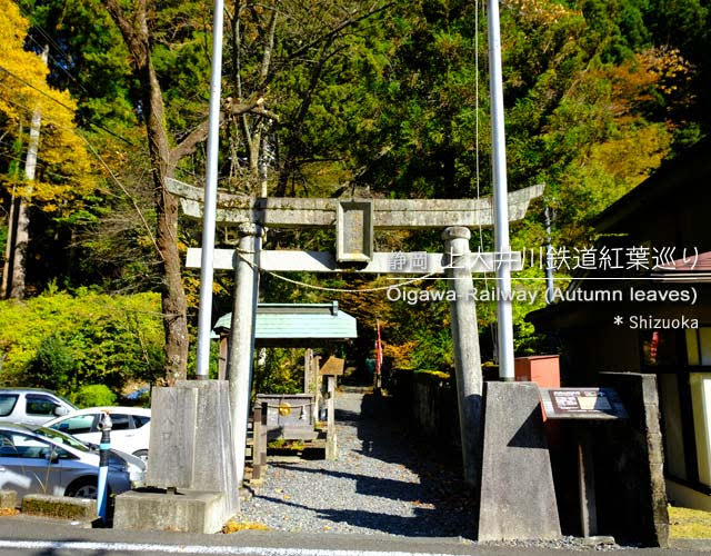 寸又峡と奥大井湖上駅の紅葉を見に行った