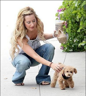 ashley tisdale and her dog