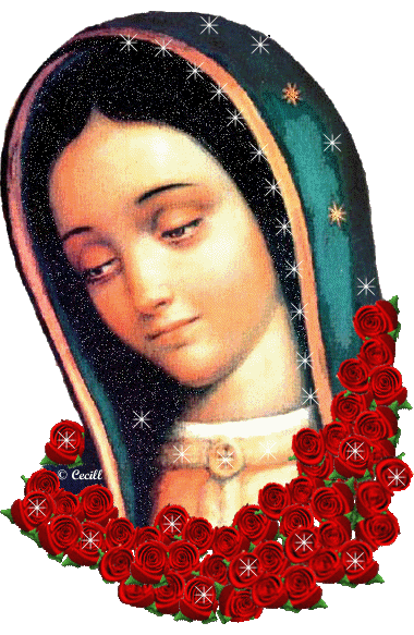Bonitas imágenes en movimientos De la Virgen Guadalupe -