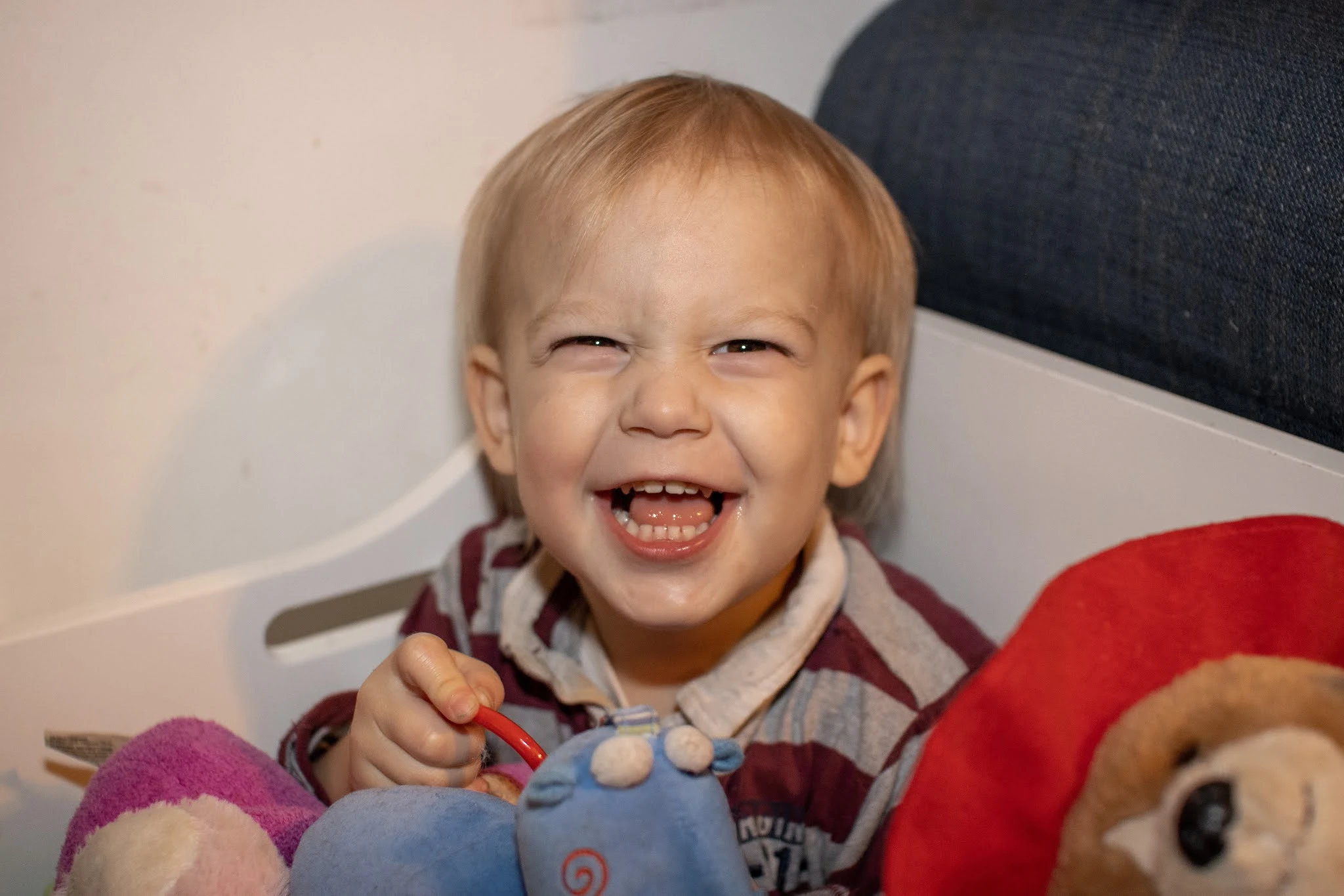 A cheeky looking toddler sitting in a toy box full of soft toys