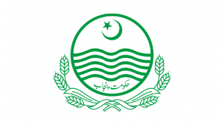 Municipal Committee Management Jobs In  Hafizabad 2024