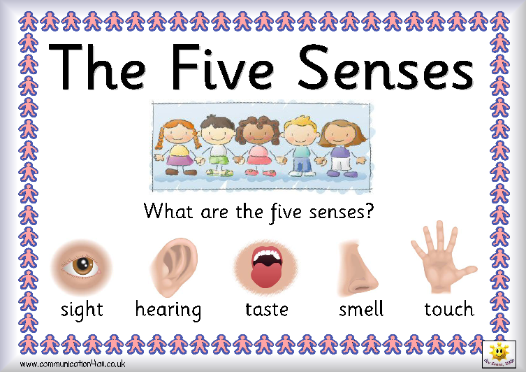 In the first Circle Time of the week, discuss each of the senses ...