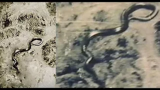 Mysterious Giant Congo Snake