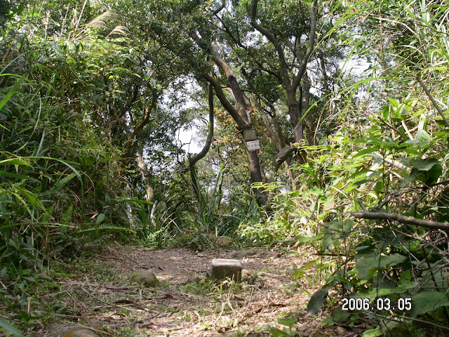 大崙頭山、碧山、白石湖山、大邱田山…趴趴走 (2006.03