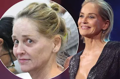 Meghan Markle's Response to Sharon Stone's Remark at the Taormina Film Celebration: A More intensive Look