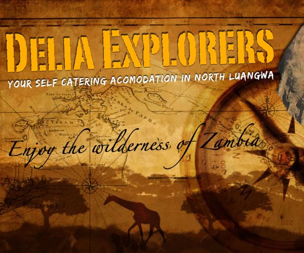 deliaexplorers Web Design