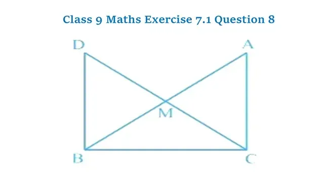 Class 9 Maths Chapter 7 Exercise 7.1 Question 8