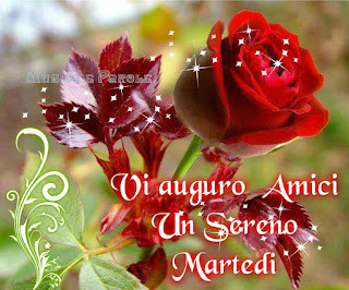 sereno martedì amici